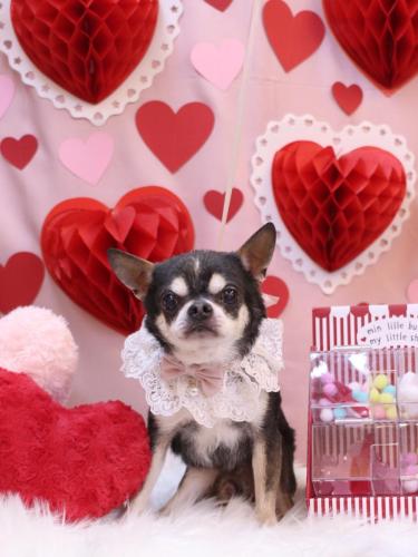 20240210ボーくん